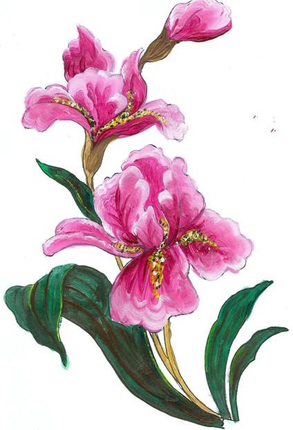 Irises, drawing paper, acrylic