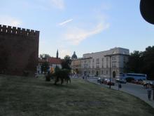 Wawel Castle